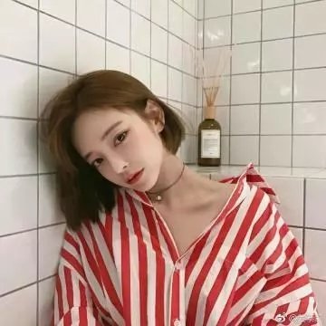 马克斯与拾荒者